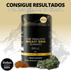 SHILAJIT Gold + Envió Gratis